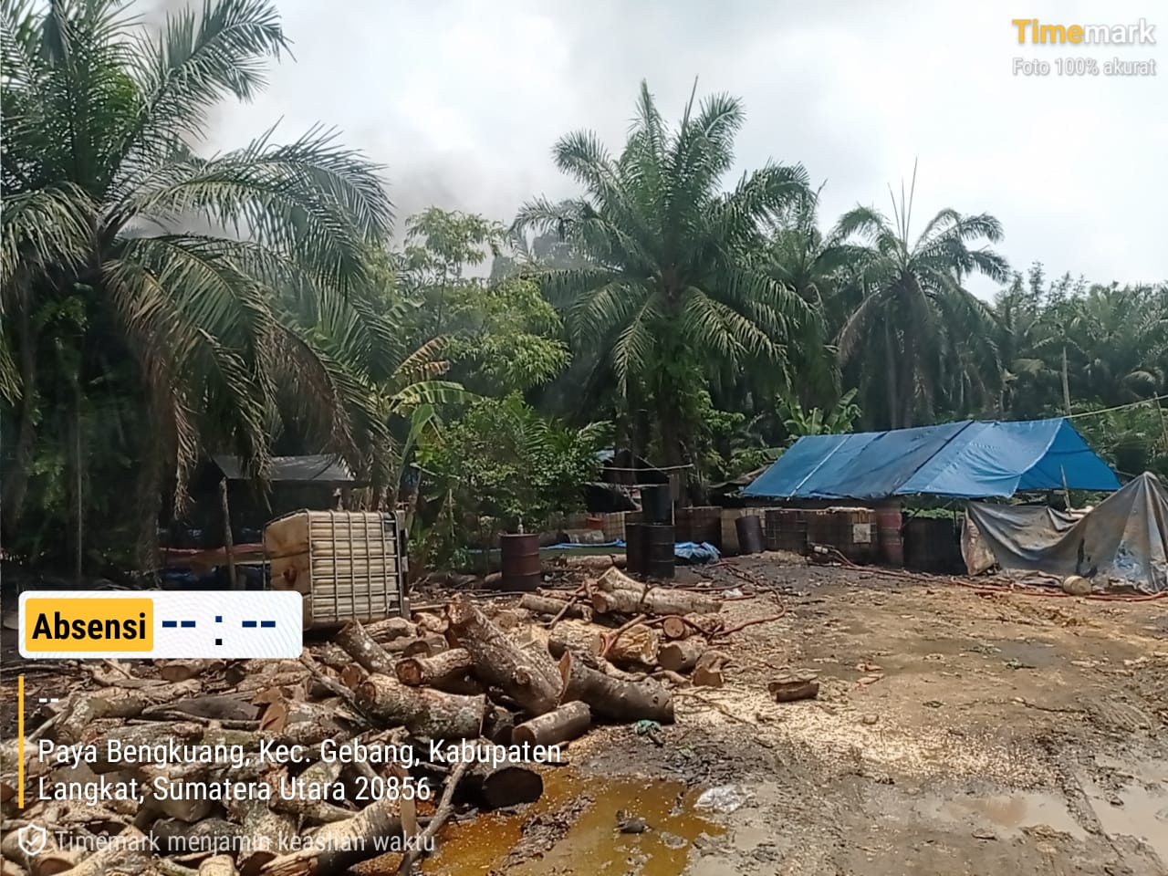 Lapor Komandan! Diduga Adanya Aktifitas Pengelolaan Minyak Tanah dan Solar Ilegal di Langkat, APH Diminta Turun Tangan